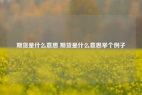 期货是什么意思 期货是什么意思举个例子