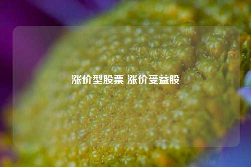 涨价型股票 涨价受益股