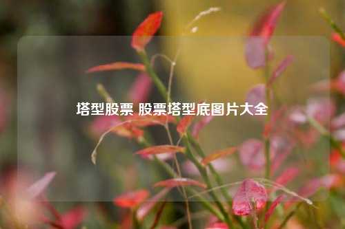 塔型股票 股票塔型底图片大全