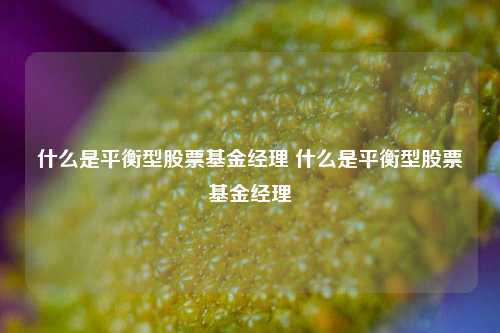 什么是平衡型股票基金经理 什么是平衡型股票基金经理