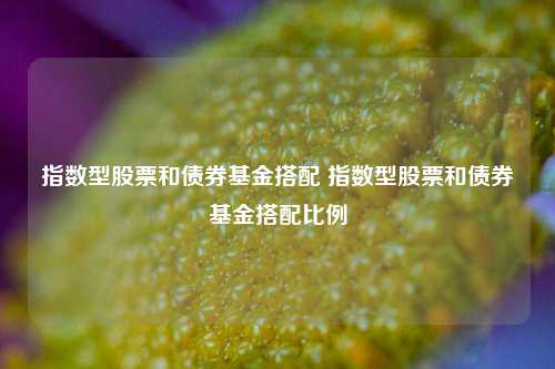 指数型股票和债券基金搭配 指数型股票和债券基金搭配比例